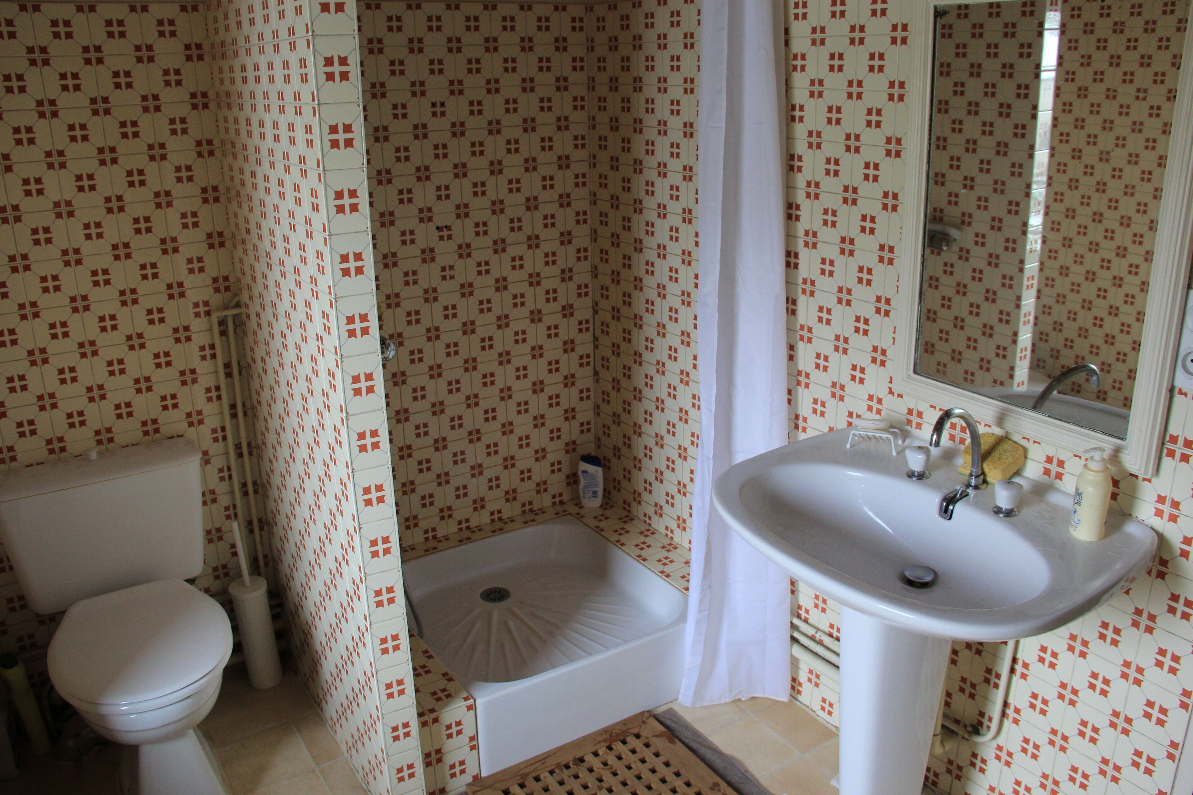 A bathroom with a toilet, a shower, and a sink.