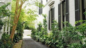 A narrow alleyway flanked by white buildings with black shutters, surrounded by lush greenery and a gravel path.