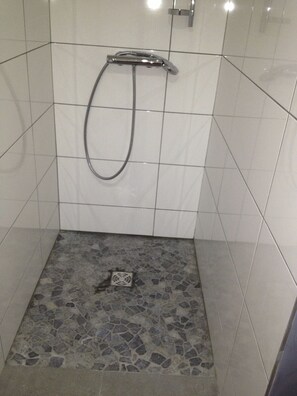 Shower, hair dryer