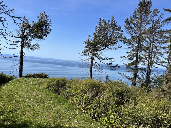 A coastal landscape with trees and a view of the sea.