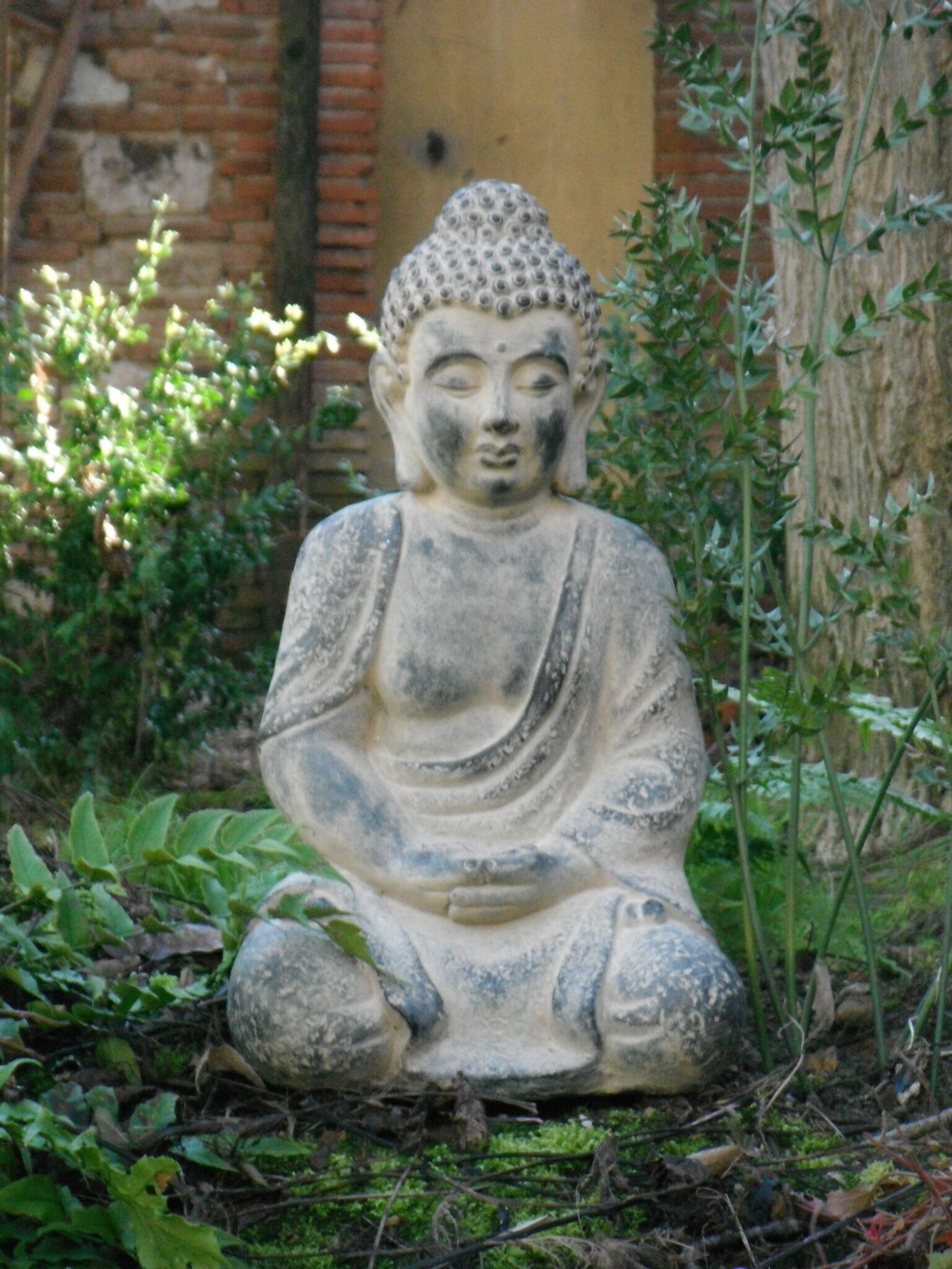 A stone Buddha statue in a garden setting.