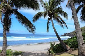 Una playa con palmeras y el océano.