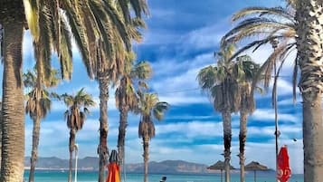 Playa en los alrededores