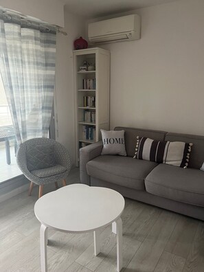 TV, DVD player, books, music library