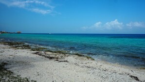 Ein Strand mit klarem türkisblauem Wasser, sandigem Ufer und Gebäuden in der Ferne.