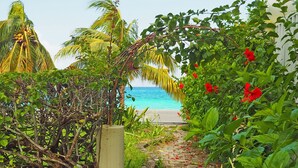 Ein gepflasterter Weg führt zu einem Strand mit üppiger Vegetation und roten Blüten.