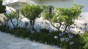 Property grounds - Luxurious secured villa panoramic view bay Cannes swimming pool garden 8'beach (Vallauris)