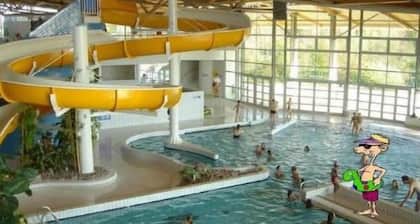 A charming, air-conditioned, fully equipped vacation rental in the heart of the Saintonge region. Heated pool