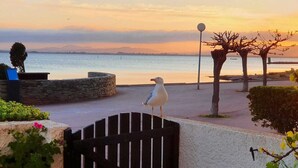 Eine Möwe steht auf einem Tor und blickt auf ein Gewässer mit einem Sonnenuntergang im Hintergrund.