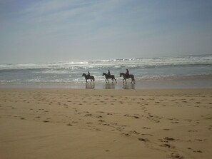 Playa en los alrededores 