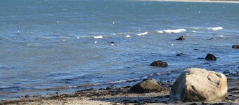 Large heated pool, games room, private bay beach access, gardens, kid-friendly