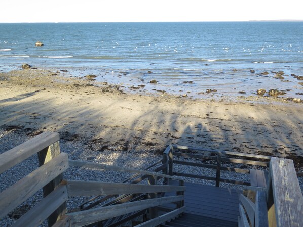 مناشف للشاطئ