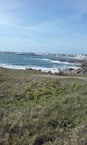 A coastal landscape with rocky terrain and grassy areas. - Apartment in quiet residence facing the beach with sea view (Quiberon)