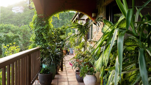 A balcony with potted plants, a wooden railing, and a view of a lush green landscape.