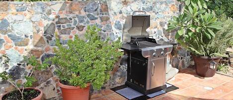 Un muro de piedra con una parrilla y macetas.