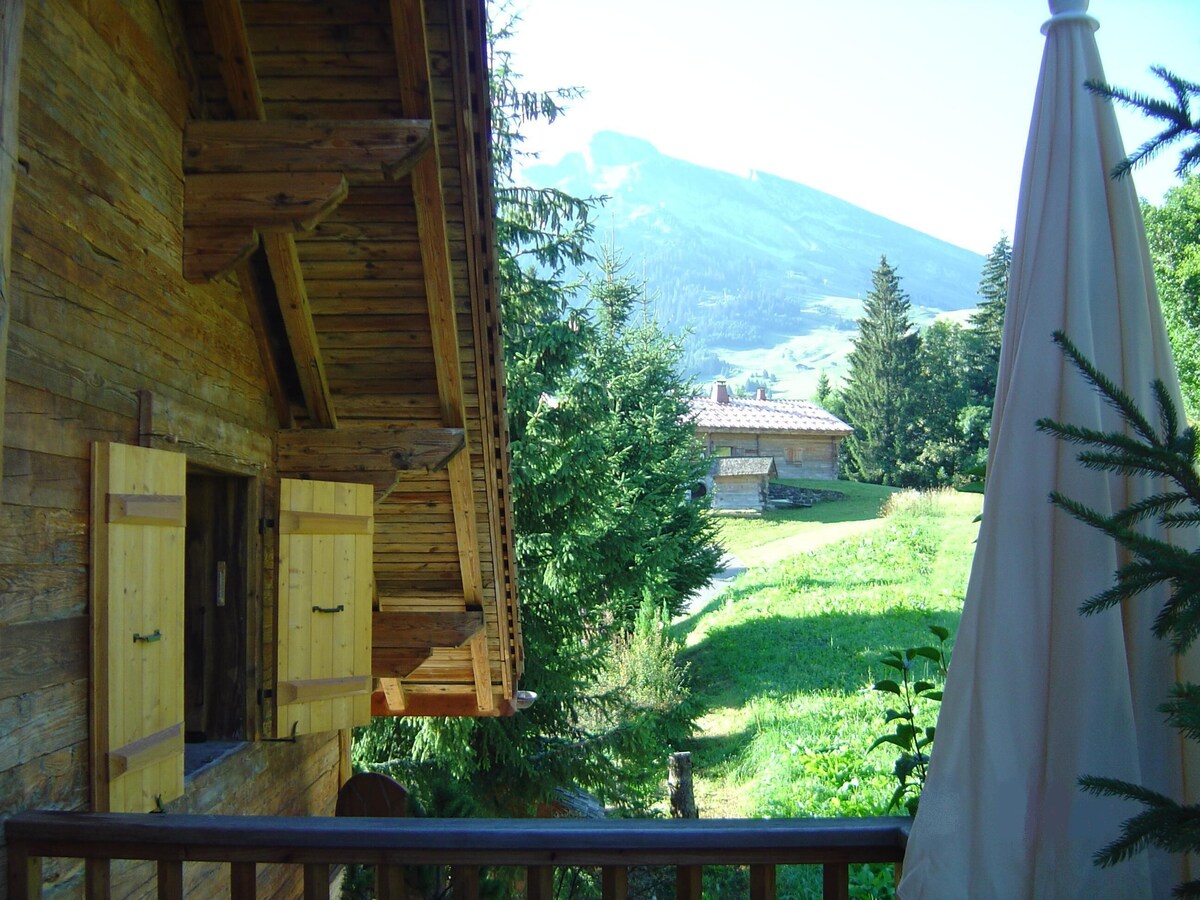 Imagen de perfil del propietario o de la propietaria