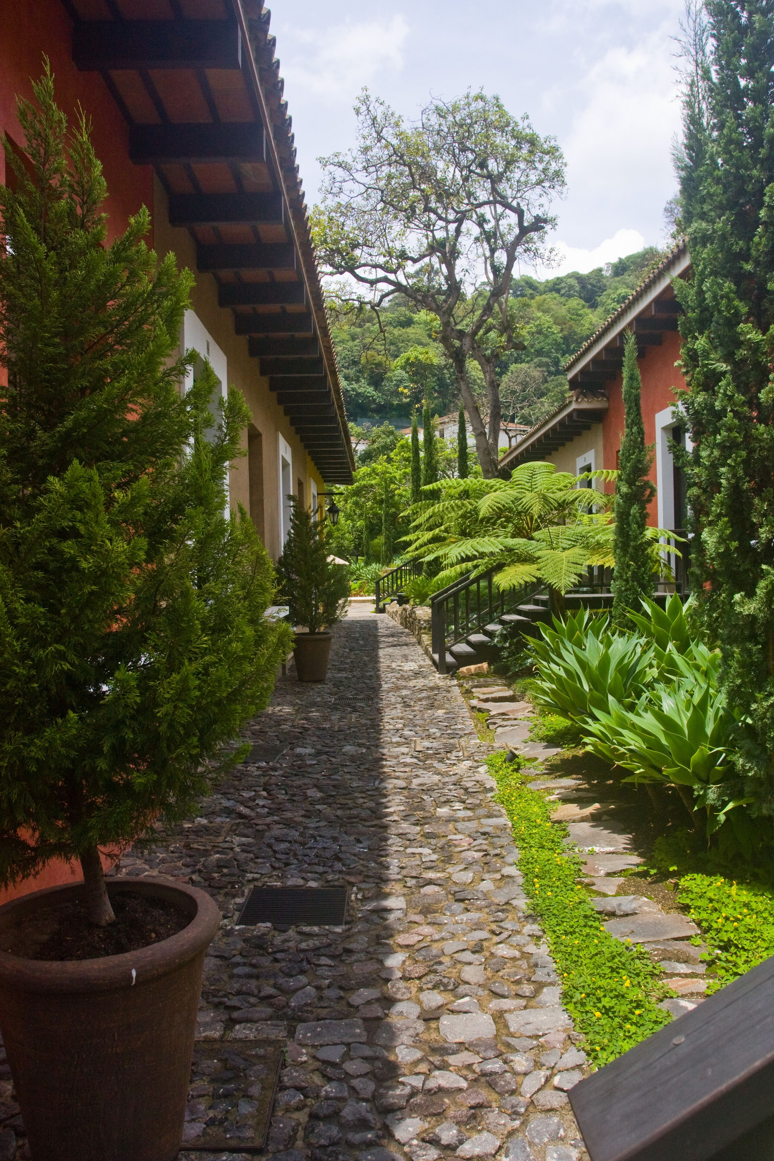 Áreas de la propiedad