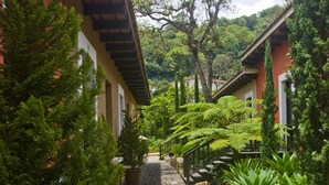A stone pathway flanked by potted plants and buildings with a red facade. - Cozy Studio In Quiet Condo With Heated Pool (Antigua Guatemala)