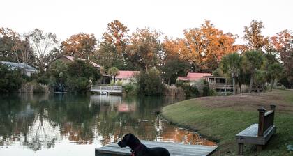 Marsh-view Cottage in the Woods: surrounded by majestic oaks, birdsong & marsh!