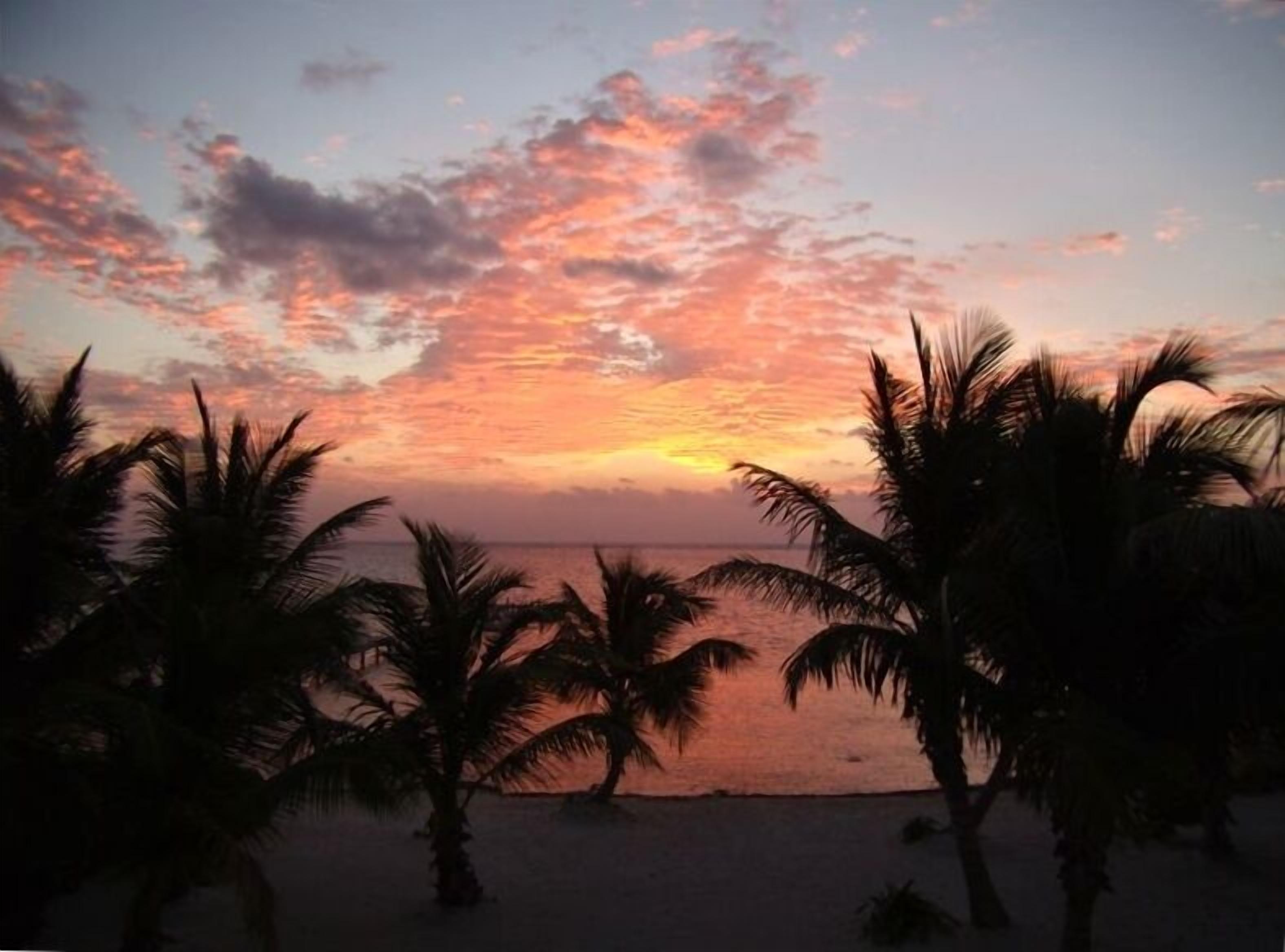 The Best Location and House in Xcalak!