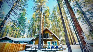 A cabin with a balcony, surrounded by tall pine trees and snow on the ground.