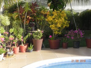 Área da propriedade