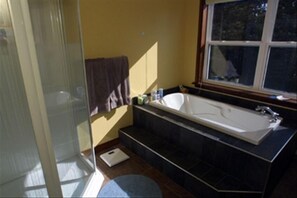Bañera con ducha, bañera de hidromasaje, secador de pelo, toallas