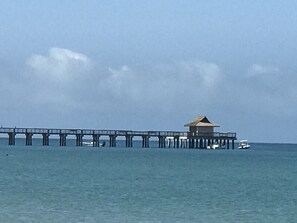Beach nearby, sun loungers, beach towels - Central Naples Condo (1 E) Close to beach. (Naples)