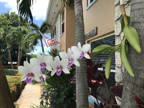 Relax in a serene outdoor space surrounded by lush plants and palm trees.