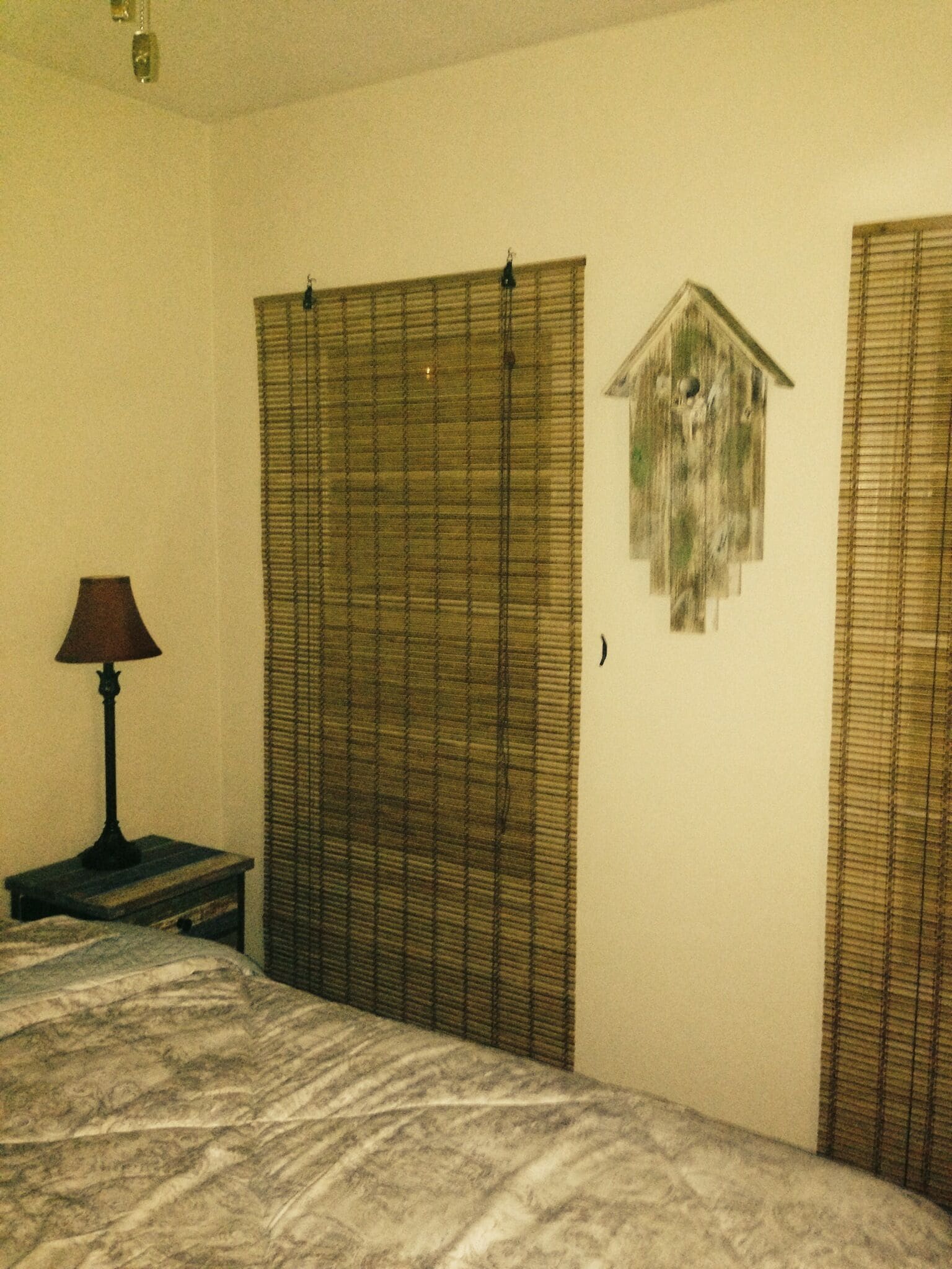 Pet Friendly Ocean View House / Cottage With Private Yard