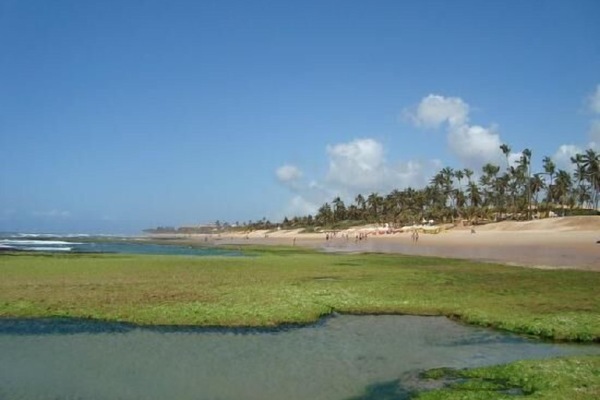 Playa