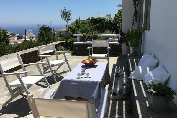 In the shade on the terrace , looking east