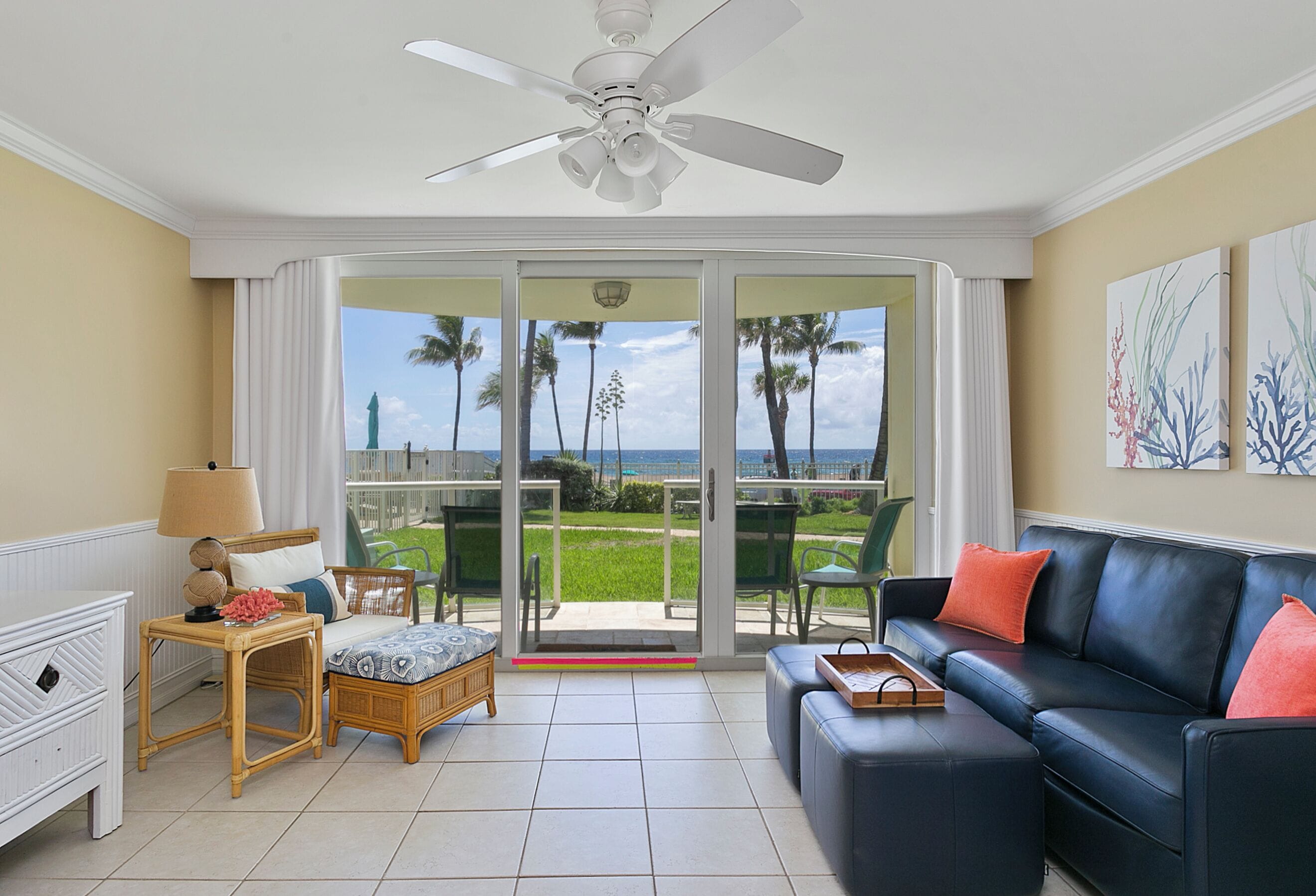 Smart TV, DVD player, books