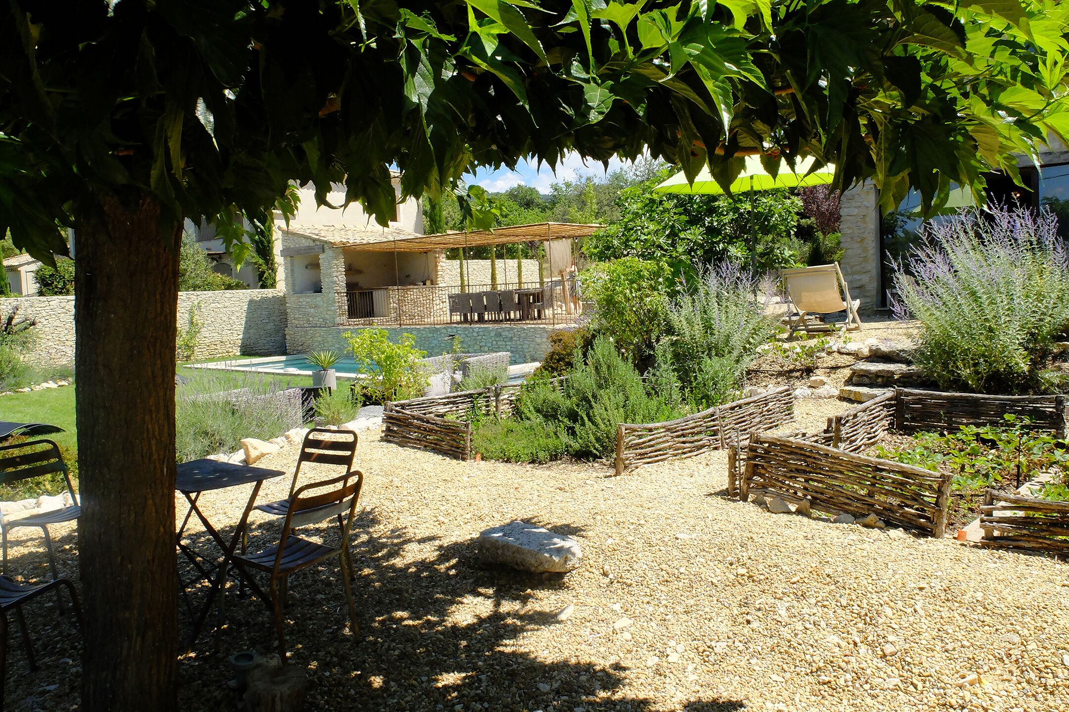 View of the garden from under the mulberry tree.