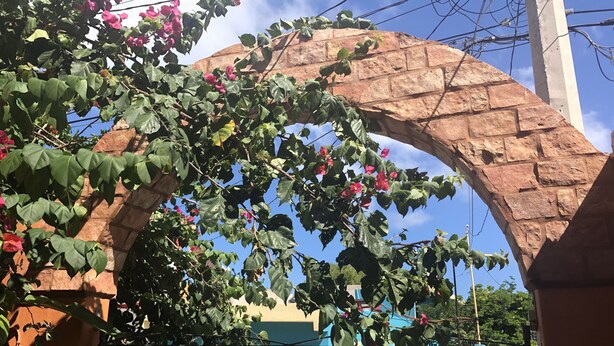 A stone archway with a metal gate, surrounded by lush green foliage and pink flowers.