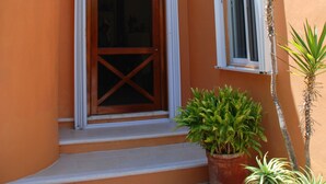 A building with a wooden door and windows, surrounded by potted plants and a palm tree.