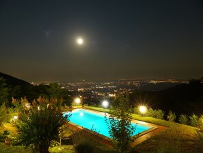 Vista nocturna de una piscina rodeada de vegetación, con luces de la ciudad al fondo.