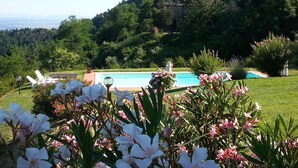 A pool area with lounge chairs and a view of a mountainous landscape.
