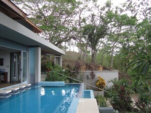 Outdoor pool - Beautiful, Contemporary Private Art/Yoga Retreat Home In Paradise! (Playa Samara)