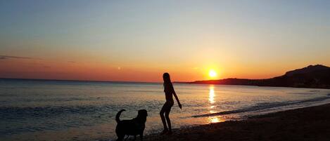 Playa en los alrededores y camastros