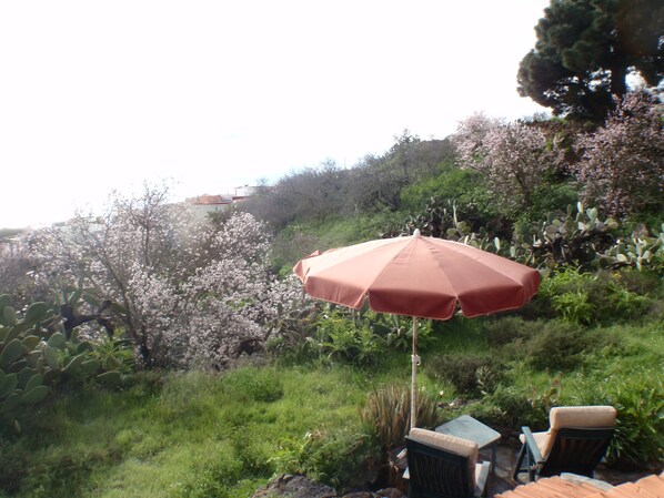 Property grounds - Rural house (El Pinar)