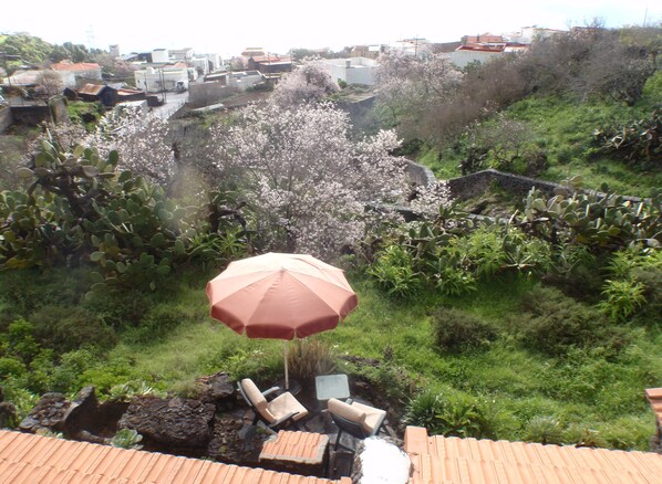 Enjoy a serene rooftop retreat with a seating area, umbrella, and lush green surroundings.