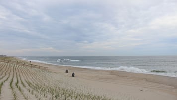 Playa en los alrededores y camastros