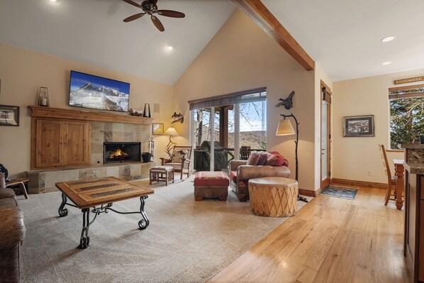 TV, fireplace, DVD player, video library