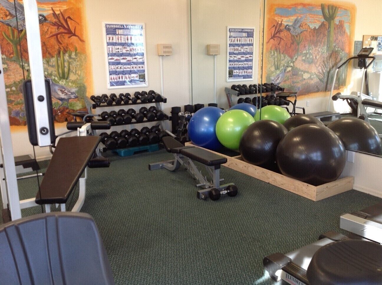 A gym with exercise equipment, including dumbbells, a bench, and exercise balls.