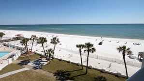 A beach view with a pool, palm trees, and beach chairs.