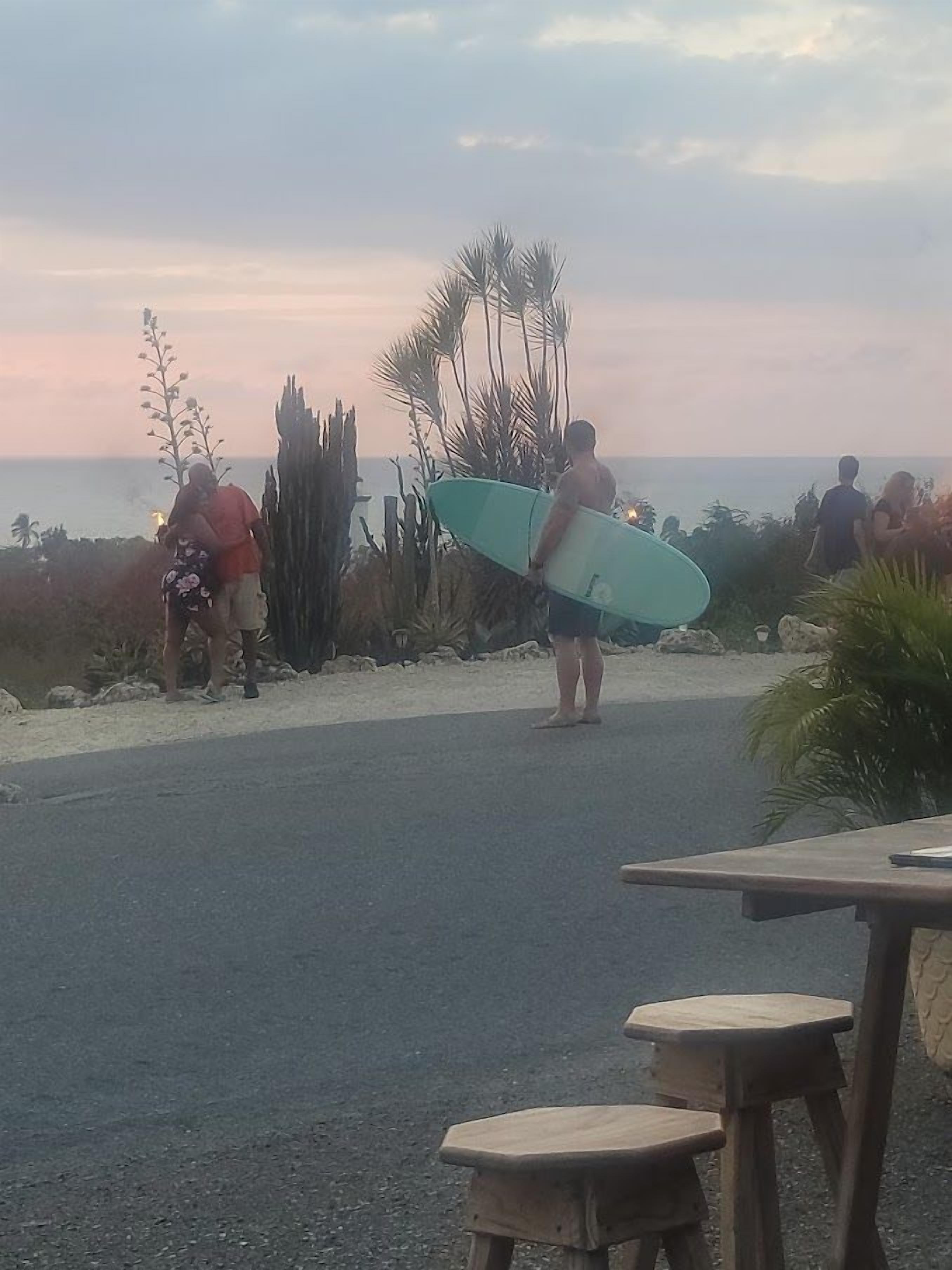 Una persona sostiene una tabla de surf en una carretera, con una playa y cactus al fondo.