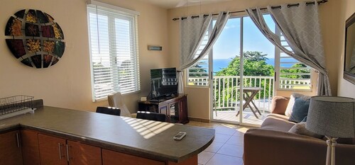 WaveView - Rincon Apartment Rentals:  Puntas 1  BR Condo w/ Ocean View