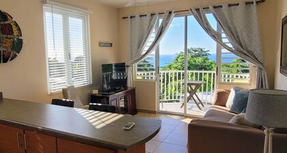 WaveView - Rincon Apartment Rentals: Puntas 1 BR Condo w/ Ocean View