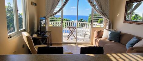 Älytelevisio, kirjoja